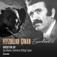 Şu Kanlı Zalimin Ettiği İşler (Feyzullah Çınar Eserleri 2)