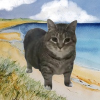 blue - yung kai - oiia spinning cat version