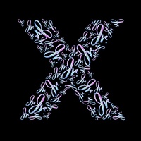 X Amada