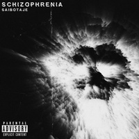 SCHIZOPHRENIA - SLOWED