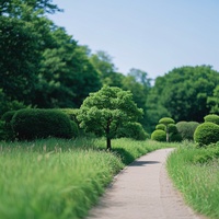 Taman alam jiwa
