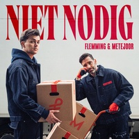 Niet Nodig - Pre-chorus FLEMMING