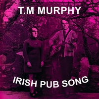 Irish Pub Song (Slowed Down)