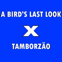 A Bird's Last Look x Tamborzão