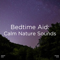 Nature Sounds Without Music