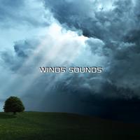 Winds Sounds (feat. Discovery Sounds FX, Calmsounds, White Noise, Storm Station, Stormy Weather Sounds & Weather FX)