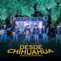 El chivo pelón - En Vivo