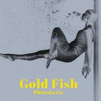 Free - Instrumental Version