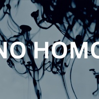 NO HOMO