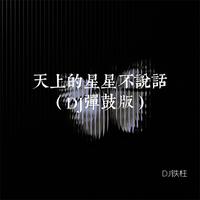天上的星星不说话 - DJ弹鼓版