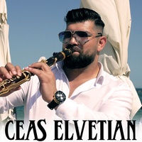 Ceas Elvetian