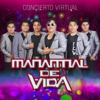Huayños Mix MDVs - En Vivo