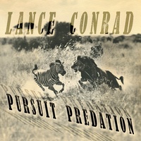 Pursuit Predation