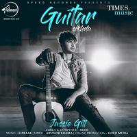 Guitar Sikhda
