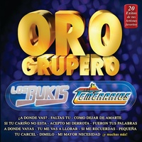 Ven Porque Te Necesito - Album Version