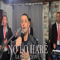 No lo haré