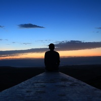 Free Mind