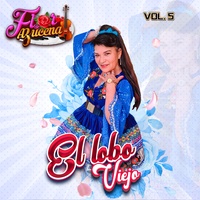 Yo Fui Tu Primer Amor