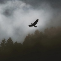 Gallowdance - Slowed