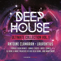 Would I Lie to You - Deep House Remix