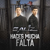 Haces Mucha Falta