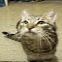 Sound image