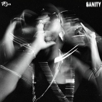 Sanity