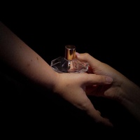 perfumy