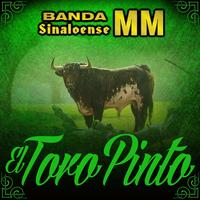 Toro Pinto