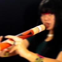 Flauta Indígena