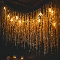 Golden Dreaming