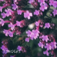 Fingers