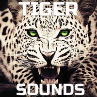 Tiger Attacks Sounds (feat. Animal Planet FX, Animals Life Sounds, Animals Nature Sounds, Animals Sound Effects, FX Effects & Animals Sounds Ambience)