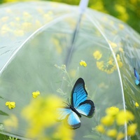 Beautiful Things