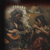 Flamenco in SPAIN