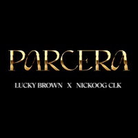 Ay Parcera