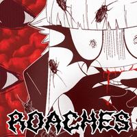 ROACHES
