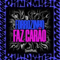 FORROZINHO - FAZ CARÃO