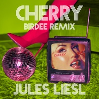 CHERRY - Birdee Extended Remix