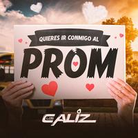 Quieres Ir Conmigo Al Prom