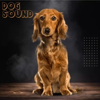 DOG SOUND