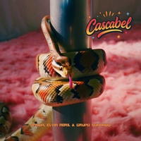 Cascabel