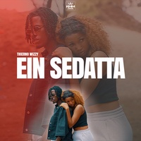 EIN SEDATTA