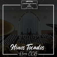 Sou servo inutil ó deus piedoso