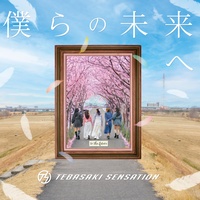Nikopi no Houteishiki