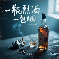 一瓶烈酒一包烟 - 烟嗓版伴奏