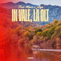 In Vale, la OLT (Remix)