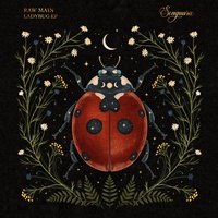 Ladybug