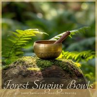 ASMR Singing Bowls for Oasis