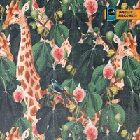 Giraffes Pond